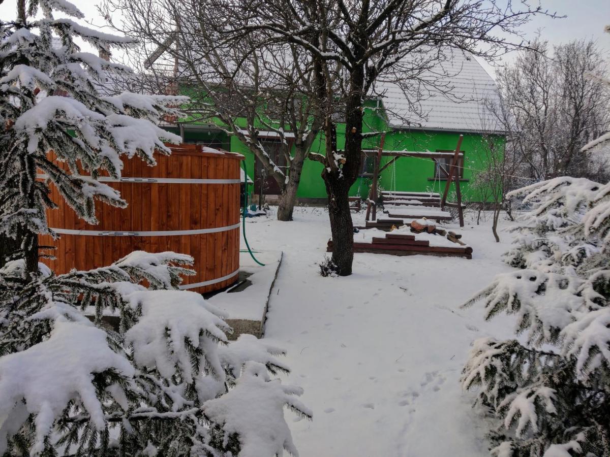 Csergo Ildiko Vendeghaz Ξενοδοχείο Lăzarea Εξωτερικό φωτογραφία