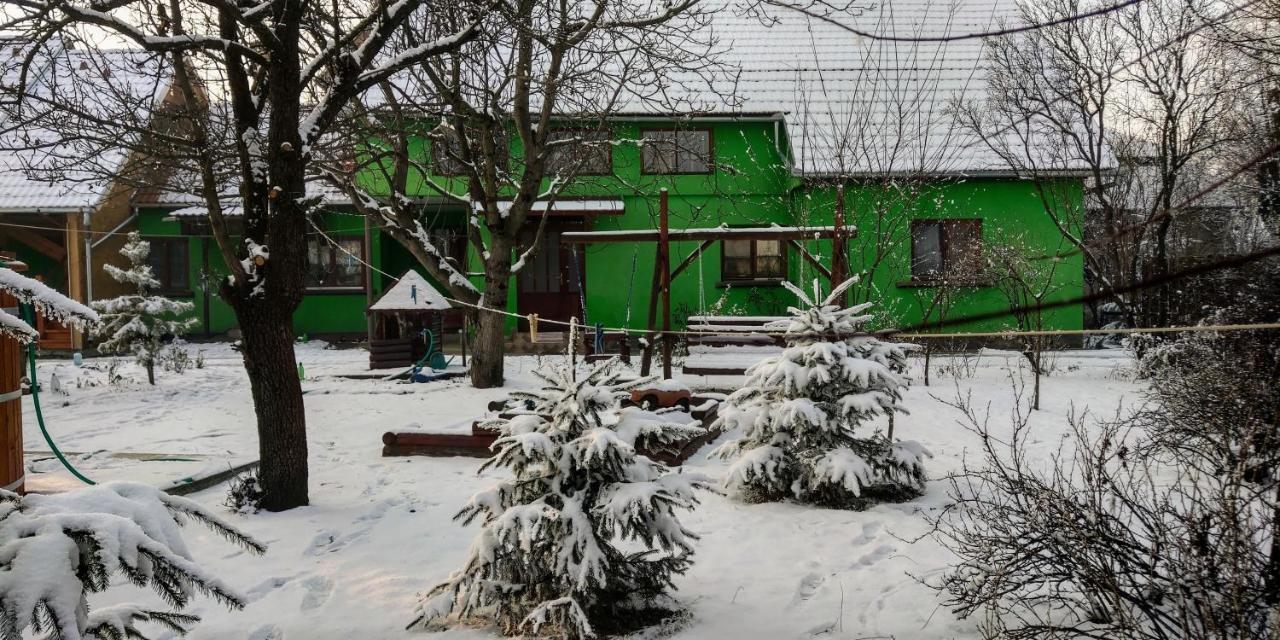 Csergo Ildiko Vendeghaz Ξενοδοχείο Lăzarea Εξωτερικό φωτογραφία
