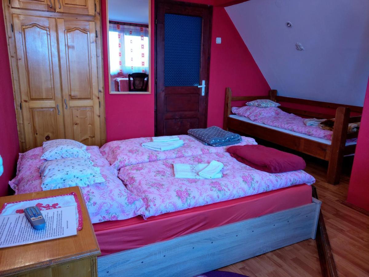 Csergo Ildiko Vendeghaz Ξενοδοχείο Lăzarea Εξωτερικό φωτογραφία